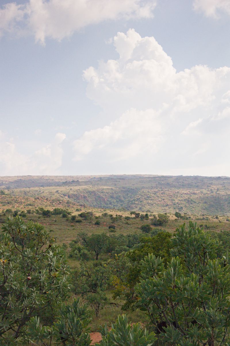 Expansive Magaliesberg mountain views on private game farm