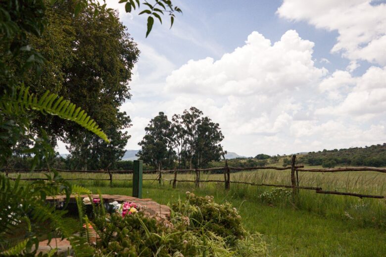 Serenity Lodge garden with views of the valley