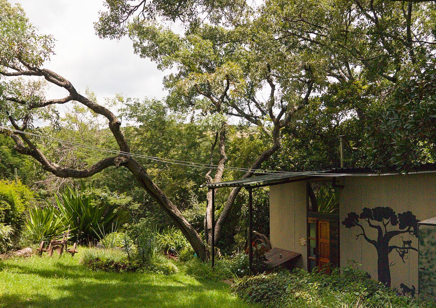 Tranquility Lodge surrounded by forest on a private game farm